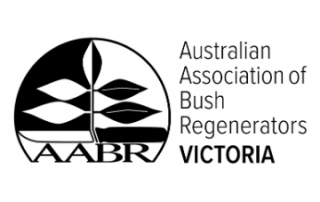 AABR Vic logo
